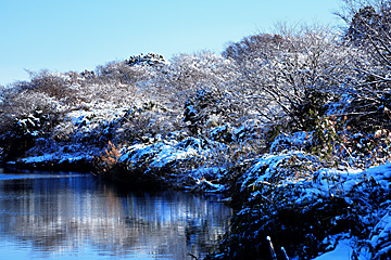 川の雪景色