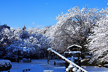 雪の公園