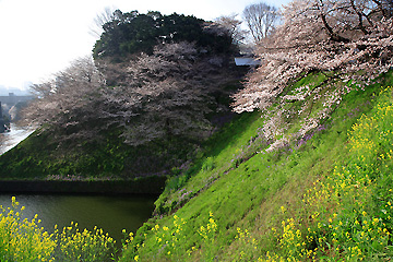 牛が淵