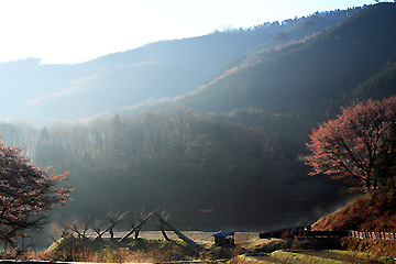 朝もやの山里