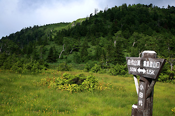 小田代湿原