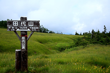 田代山山頂