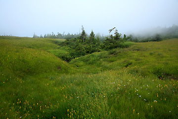 田代山頂上湿原