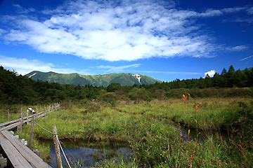 沼原湿原