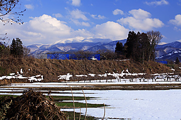 農村風景