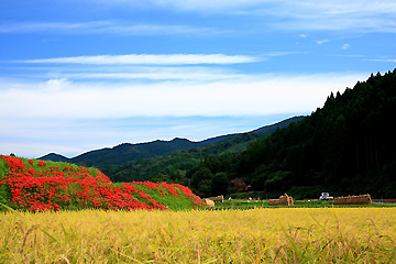 那須町簑沢