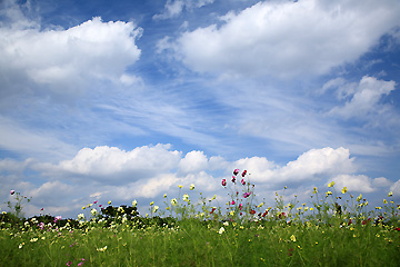 秋空