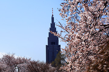 新宿御苑