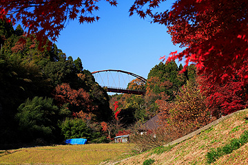 里山