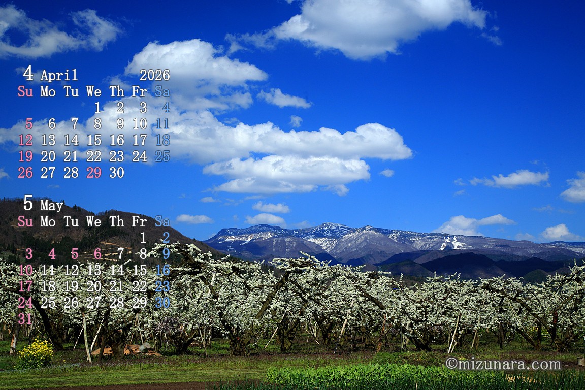 春の蔵王を望む