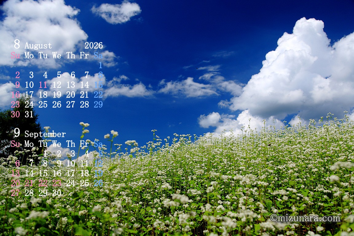 夏空とソバの花（南会津町高杖高原）
