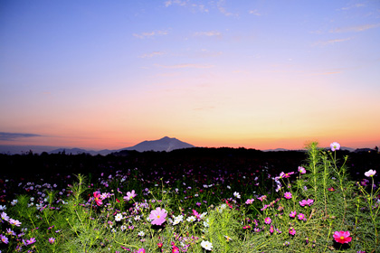 筑波山