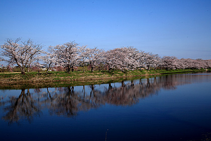 福岡堰