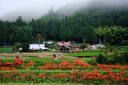 大子町