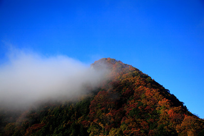 茂木町