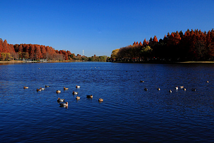 水元公園