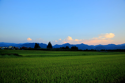 上山市