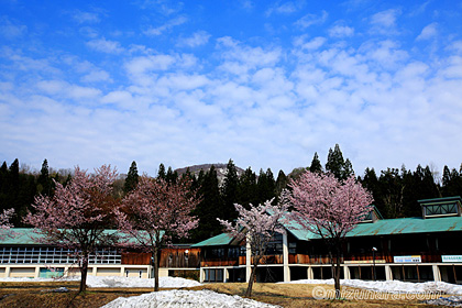 小国町玉川小中学校