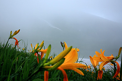 雨の月山