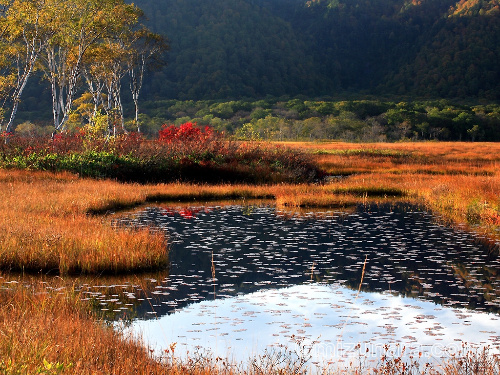 秋の池塘