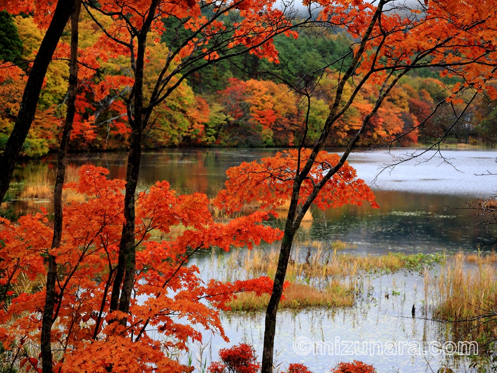 秋の湖沼