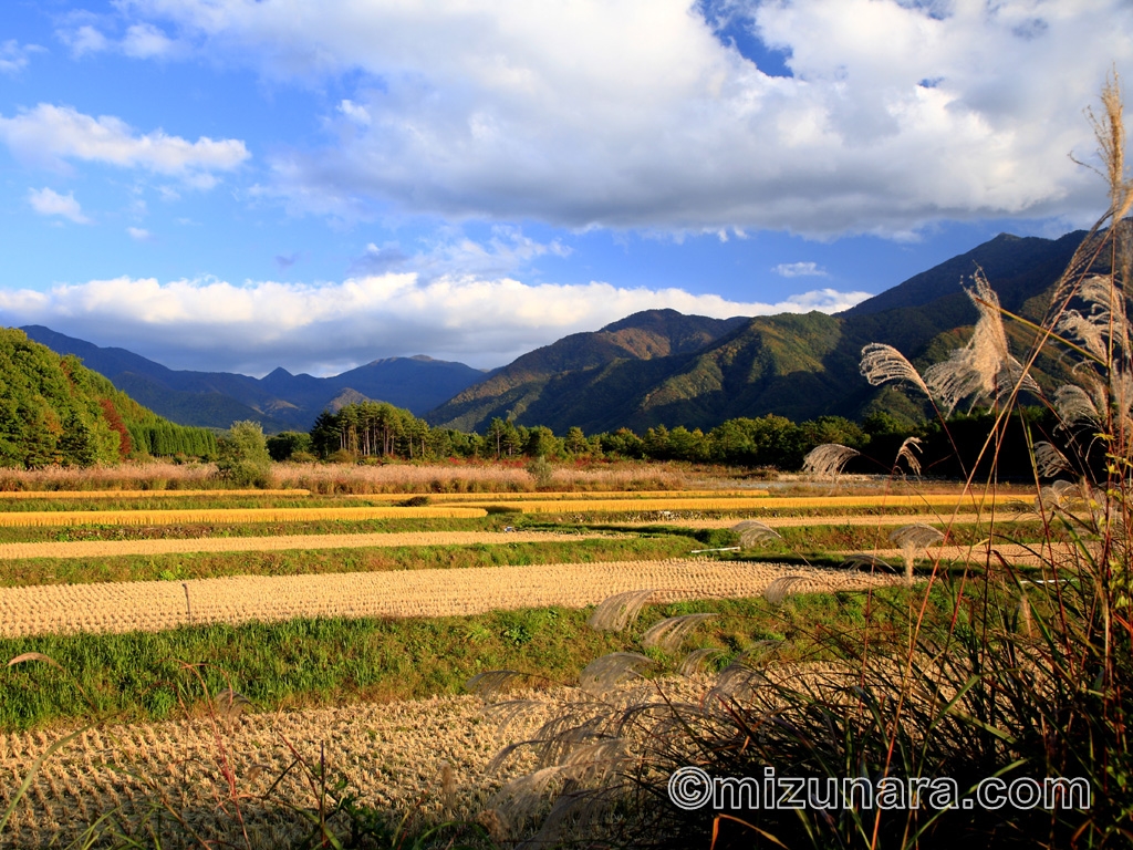 西日の奥山