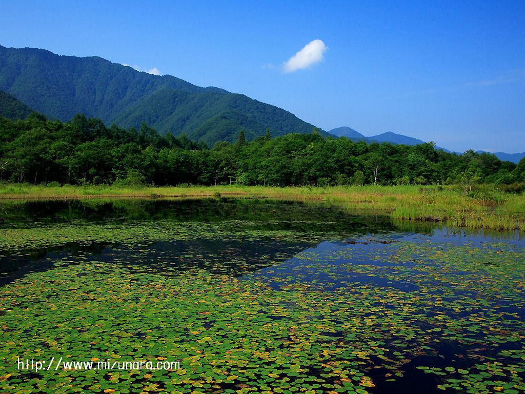 静かな山の湖